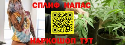 молекула духа Будённовск
